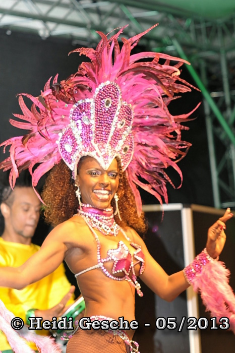 Fiesta Brasil (9).JPG